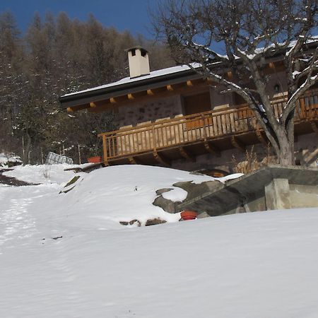 Pensjonat Agritur Maso Bornie Grauno Zewnętrze zdjęcie